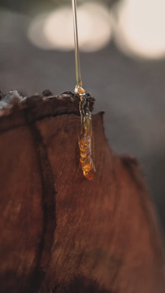 Mel silvestre orgânico